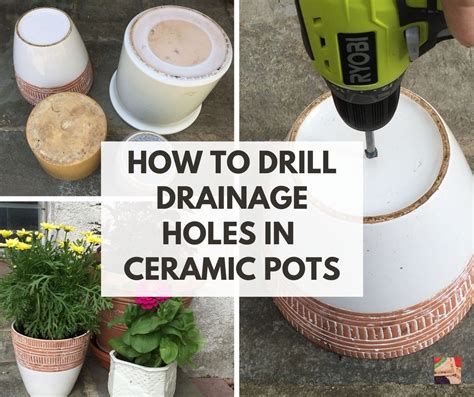 Pots & Planters with Drainage Holes 